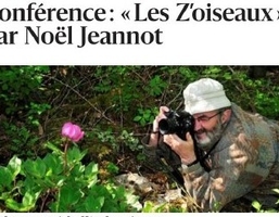 conference-les-z-oiseaux-en-danger